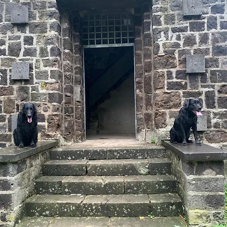 酒店 弗尔斯特豪斯酒店 Volkesfeld