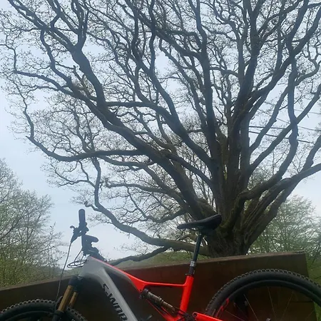 Отель Forsthaus