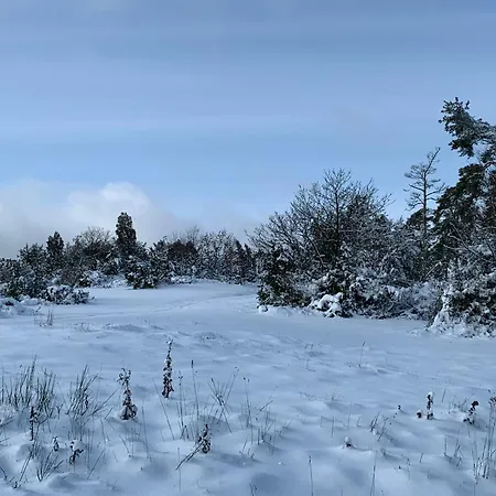 Forsthaus Volkesfeld