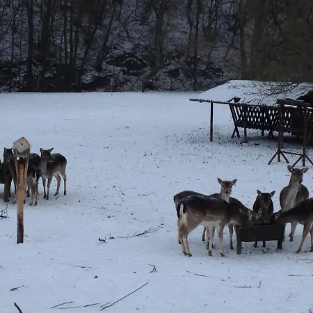 Forsthaus 3* Volkesfeld