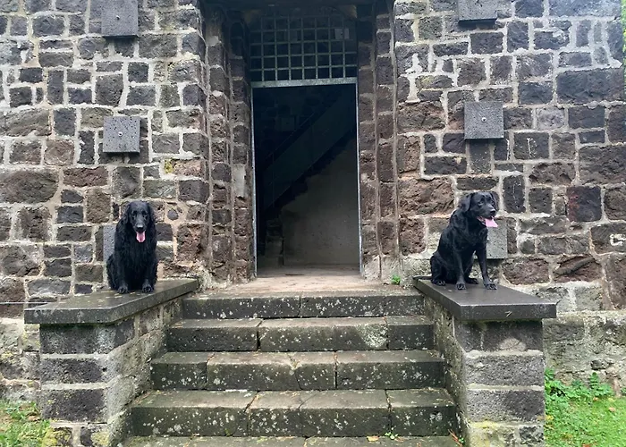 酒店 弗尔斯特豪斯酒店 Volkesfeld