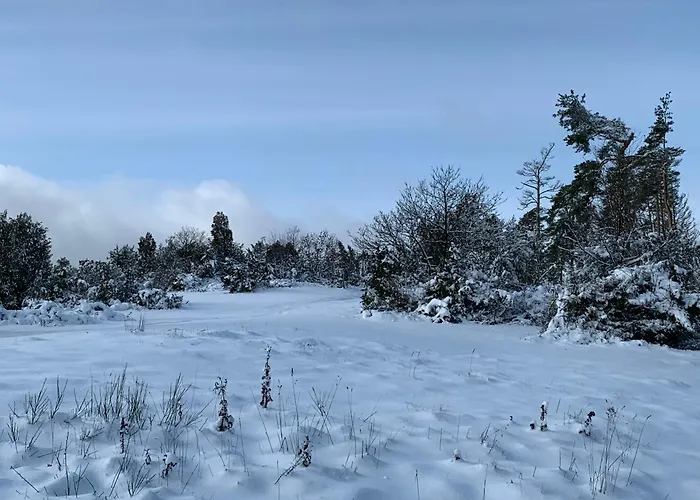 弗尔斯特豪斯酒店 Volkesfeld