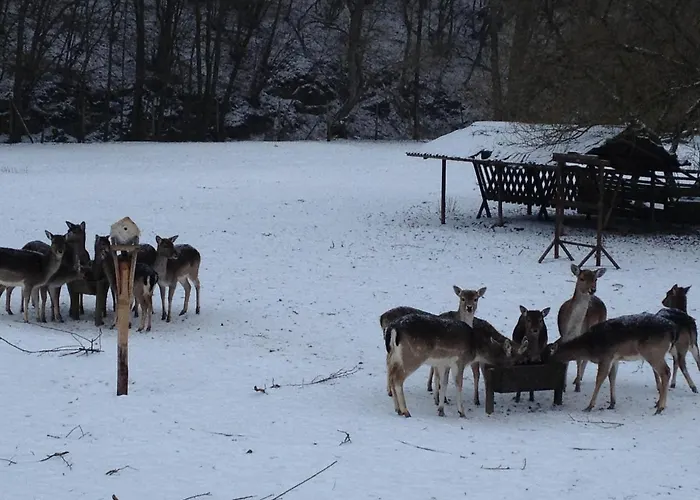 Forsthaus 4* Volkesfeld