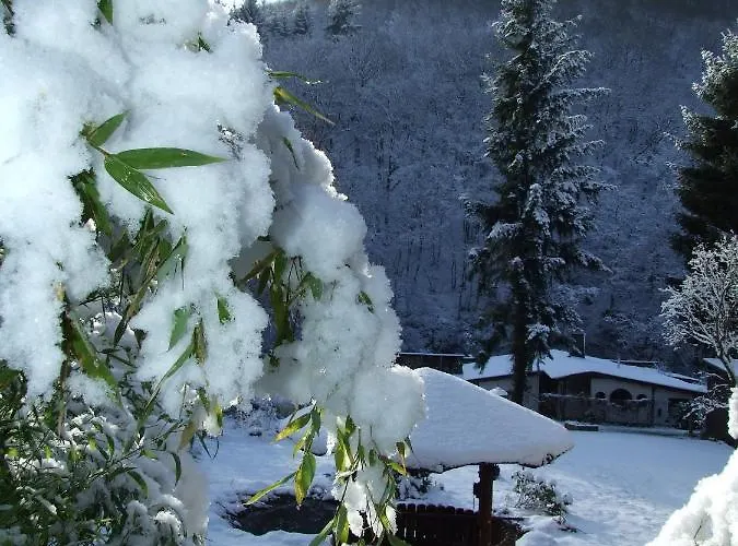 Forsthaus 4* Volkesfeld